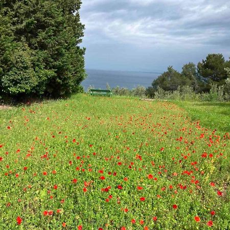 Istrian Green House Portoroz Exterior photo