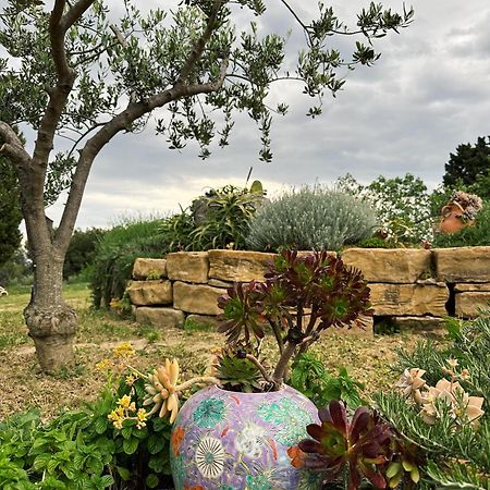 Istrian Green House Portoroz Exterior photo